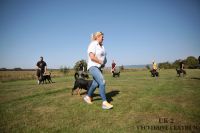 IMG_0186