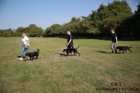 IMG_0193