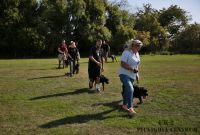 IMG_0196