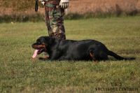 IMG_2046