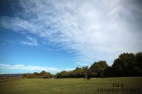 IMG_2106
